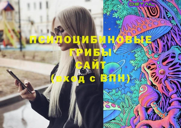 амф Алексин