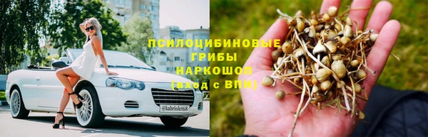 амф Алзамай