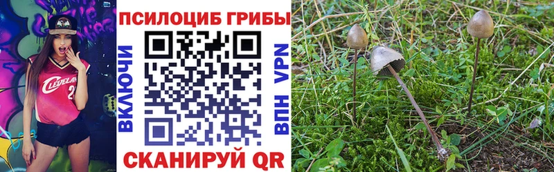 купить наркотик  Болгар  Галлюциногенные грибы прущие грибы 